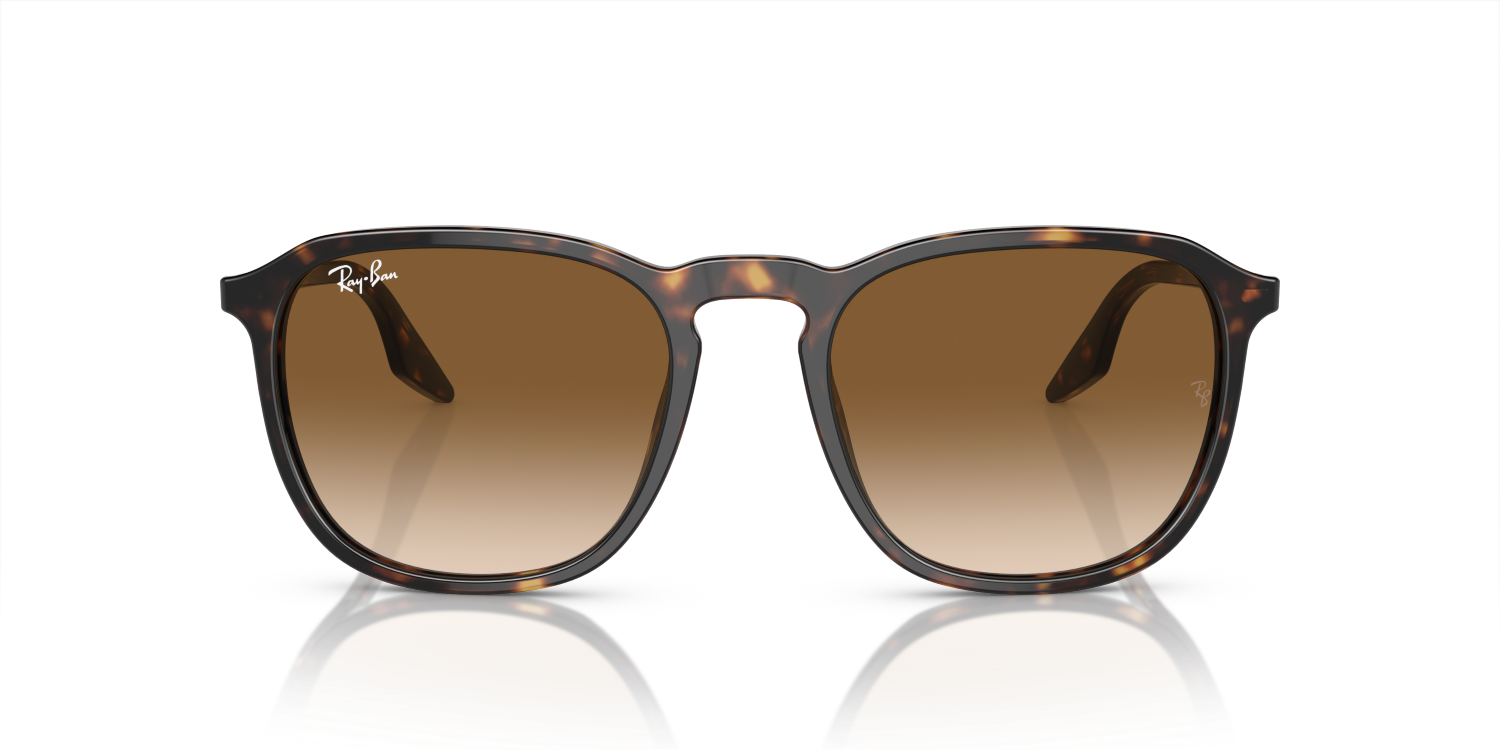 Ray-Ban RB2203 - Havana / Tortoise