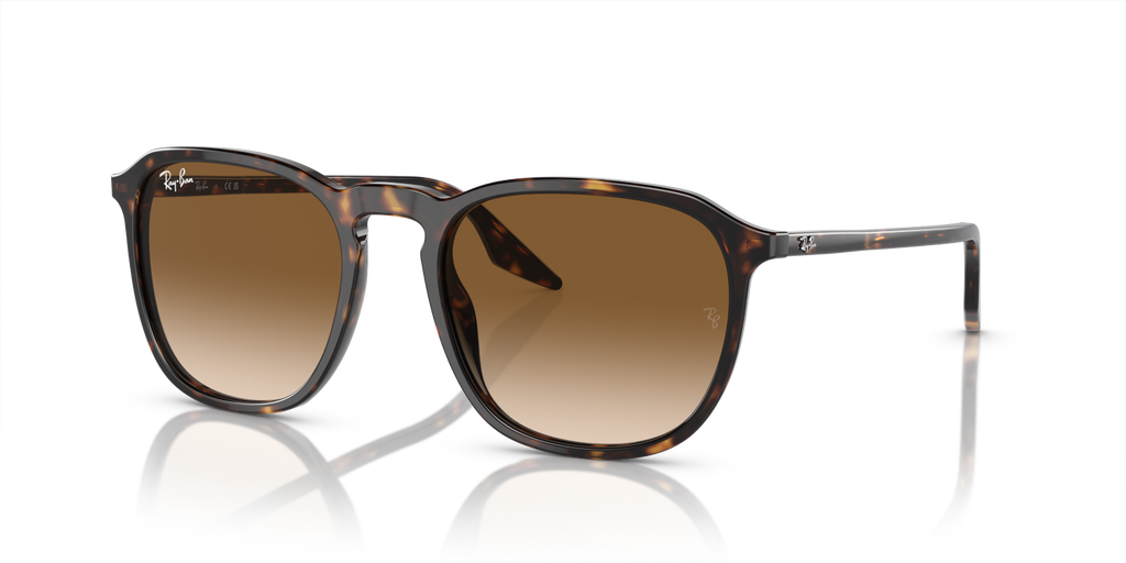 Ray-Ban RB2203 - Havana / Tortoise
