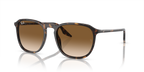 Ray-Ban RB2203 - Havana / Tortoise