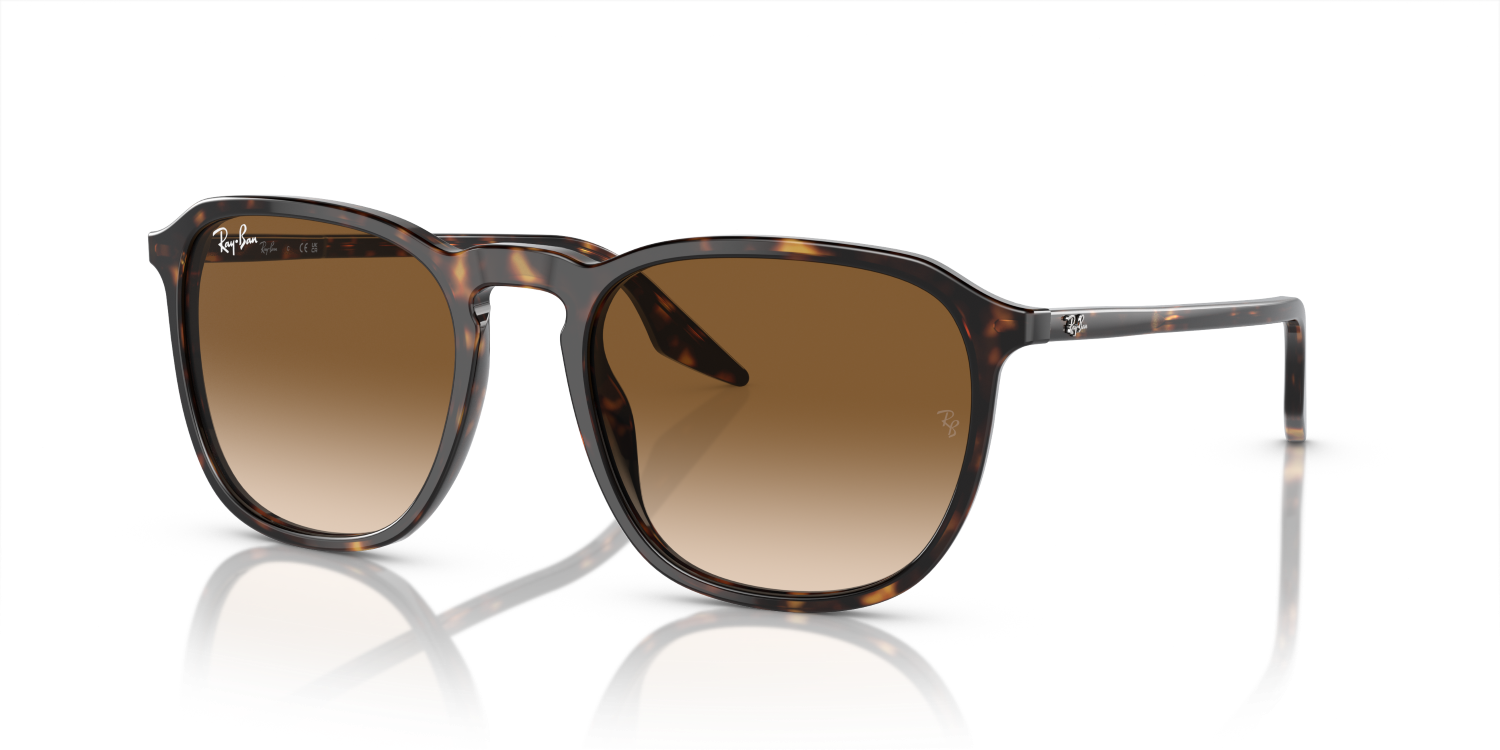 Ray-Ban RB2203 - Havana / Tortoise