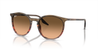 Ray-Ban RB2204 - Striped Brown & Red / Brown