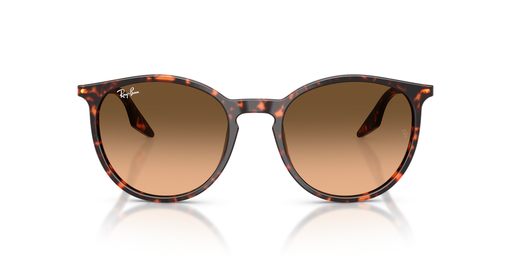 Ray-Ban RB2204 - Havana Red Tortoiseshell / Red