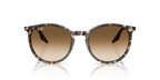 Ray-Ban RB2204 - Havana Yellow Tortoiseshell / Yellow