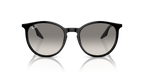 Ray-Ban RB2204 - Black / Black