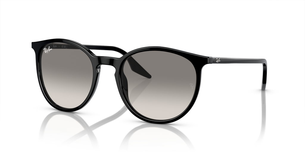 Ray-Ban RB2204 - Black / Black