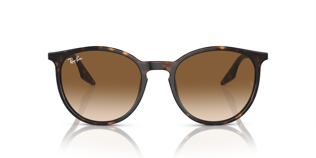Ray-Ban RB2204 - Havana / Tortoise