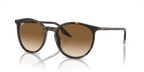Ray-Ban RB2204 - Havana / Tortoise