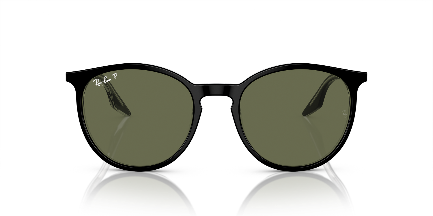Ray-Ban RB2204 - Black On Transparent / Black