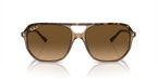 Ray-Ban BILL ONE RB2205 - Havana On Transparent Brown / Gold