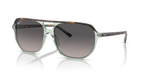 Ray-Ban BILL ONE RB2205 - Havana On Transparent Green / Brown