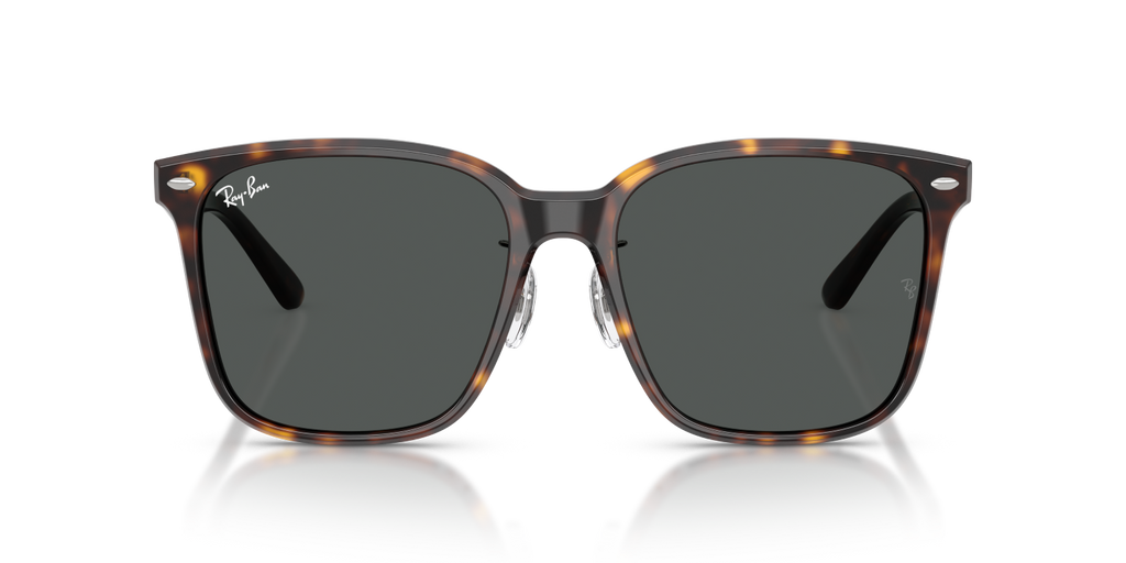 Ray-Ban RB2206D - Havana / Tortoise