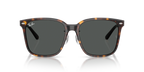 Ray-Ban RB2206D - Havana / Tortoise