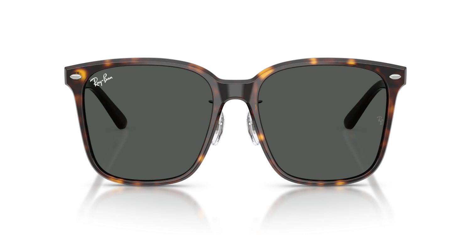 Ray-Ban RB2206D - Havana / Tortoise