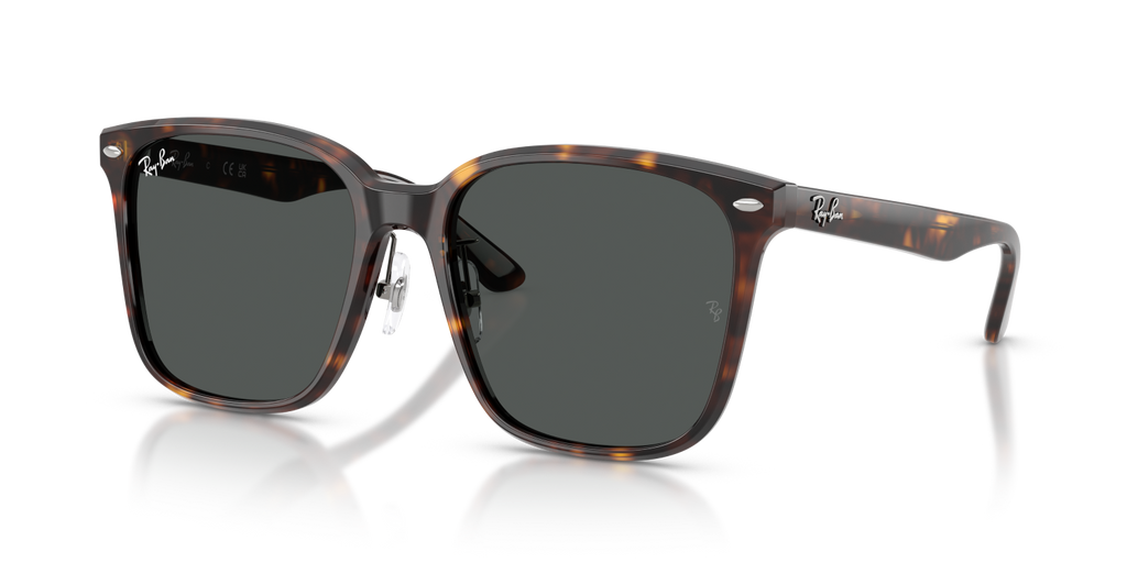 Ray-Ban RB2206D - Havana / Tortoise