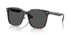 Ray-Ban RB2206D - Havana / Tortoise