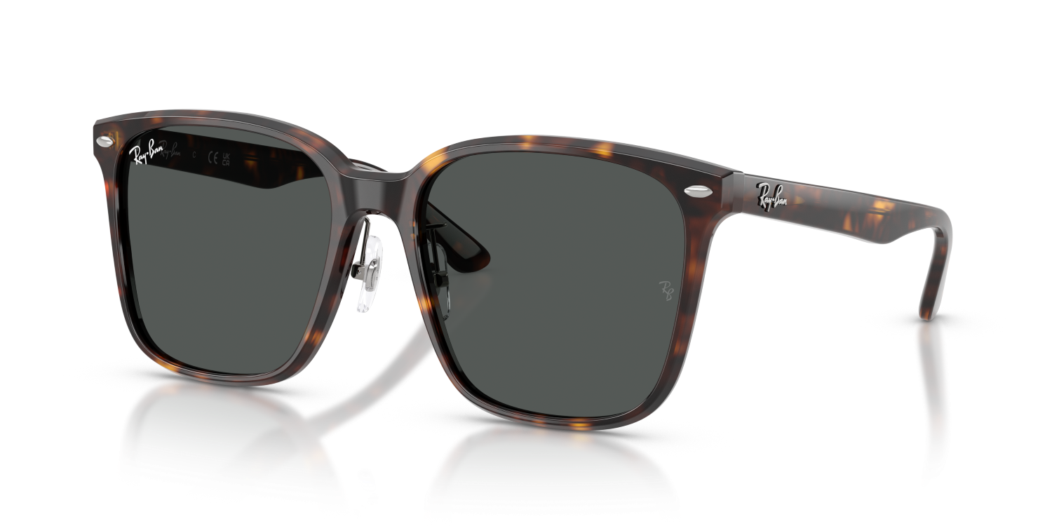 Ray-Ban RB2206D - Havana / Tortoise