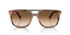 Ray-Ban RB2213 - Havana Brown / Tortoise