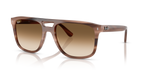 Ray-Ban RB2213 - Havana Brown / Tortoise