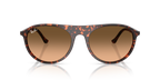 Ray-Ban RB2215 - Havana Red Tortoiseshell / Red