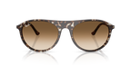 Ray-Ban RB2215 - Havana Yellow Tortoiseshell / Yellow