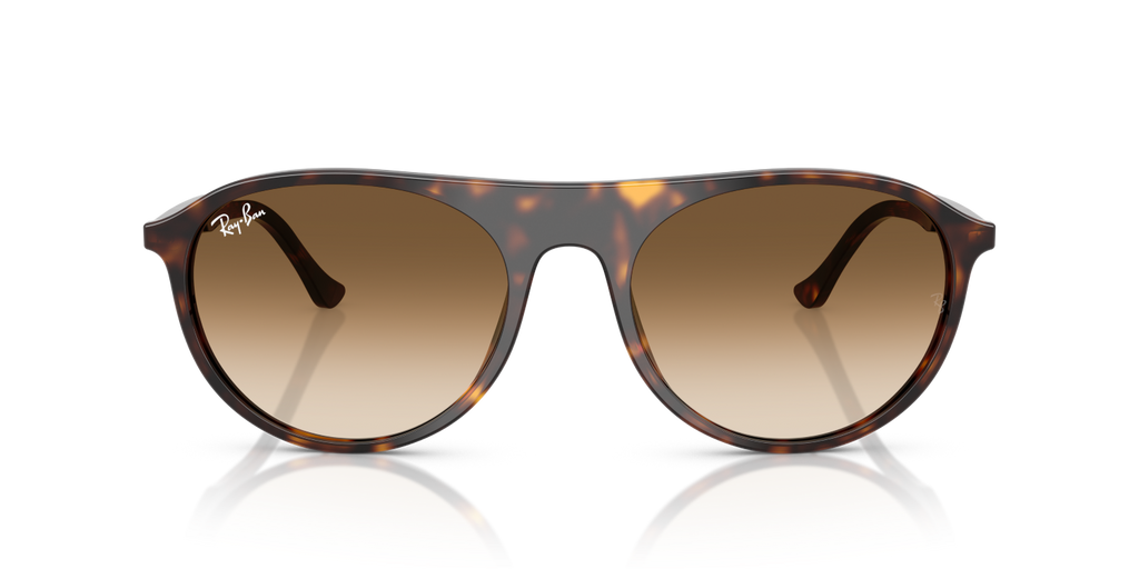 Ray-Ban RB2215 - Havana / Tortoise