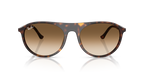 Ray-Ban RB2215 - Havana / Tortoise