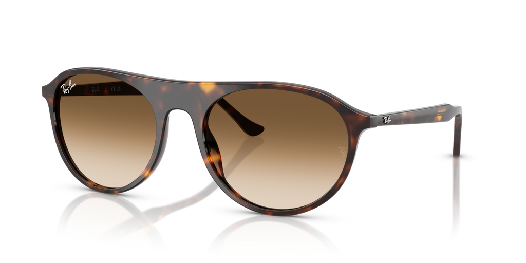Ray-Ban RB2215 - Havana / Tortoise