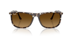Ray-Ban RB2216 - Havana Yellow Tortoiseshell / Yellow