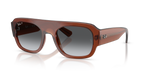 Ray-Ban RB2218 - Transparent Brown / Brown