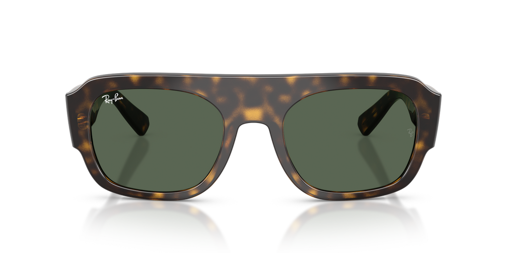 Ray-Ban RB2218 - Havana / Tortoise