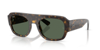Ray-Ban RB2218 - Havana / Tortoise