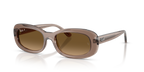 Ray-Ban RB2221 - Transparent Beige / Brown