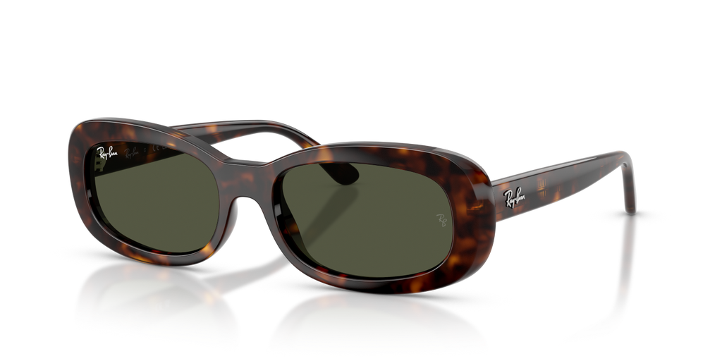 Ray-Ban RB2221 - Havana / Tortoise