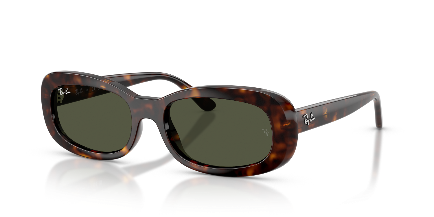 Ray-Ban RB2221 - Havana / Tortoise