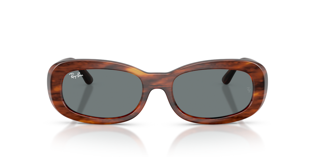 Ray-Ban RB2221 - Striped Havana / Brown