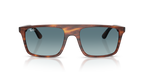 Ray-Ban RB2222 - Striped Havana / Brown