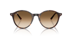 Ray-Ban BERNARD RB2230 - Havana / Tortoise