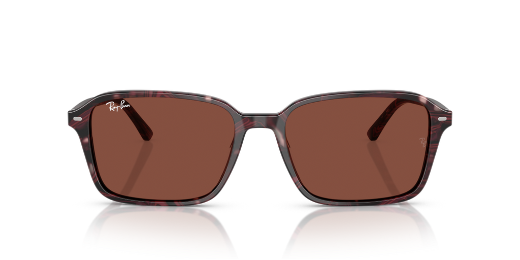 Ray-Ban RAIMOND RB2231 - Transparent Fantasy Violet & Red / Violet