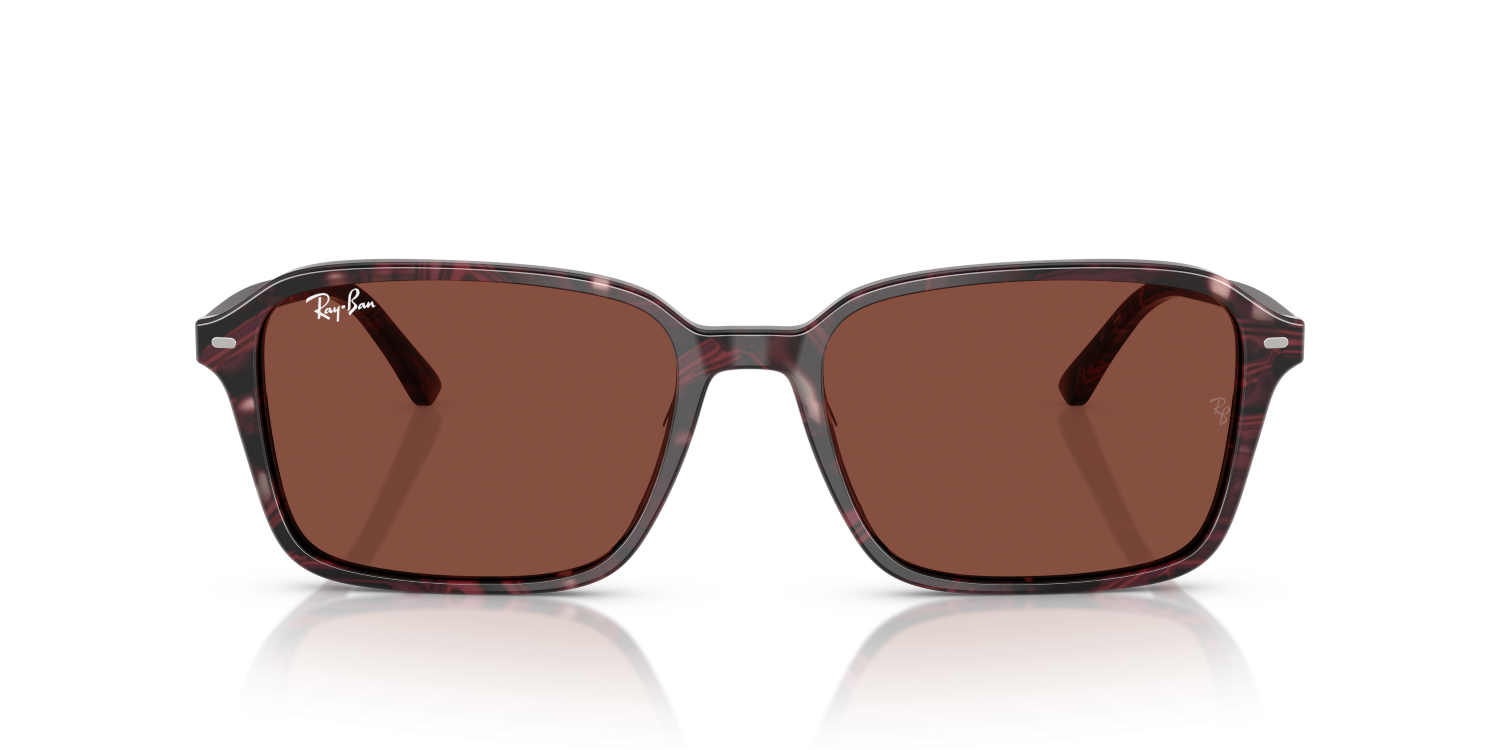 Ray-Ban RAIMOND RB2231 - Transparent Fantasy Violet & Red / Violet