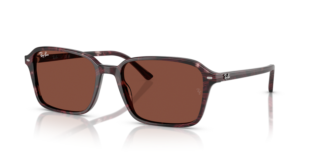 Ray-Ban RAIMOND RB2231 - Transparent Fantasy Violet & Red / Violet