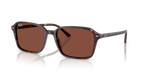 Ray-Ban RAIMOND RB2231 - Transparent Fantasy Violet & Red / Violet