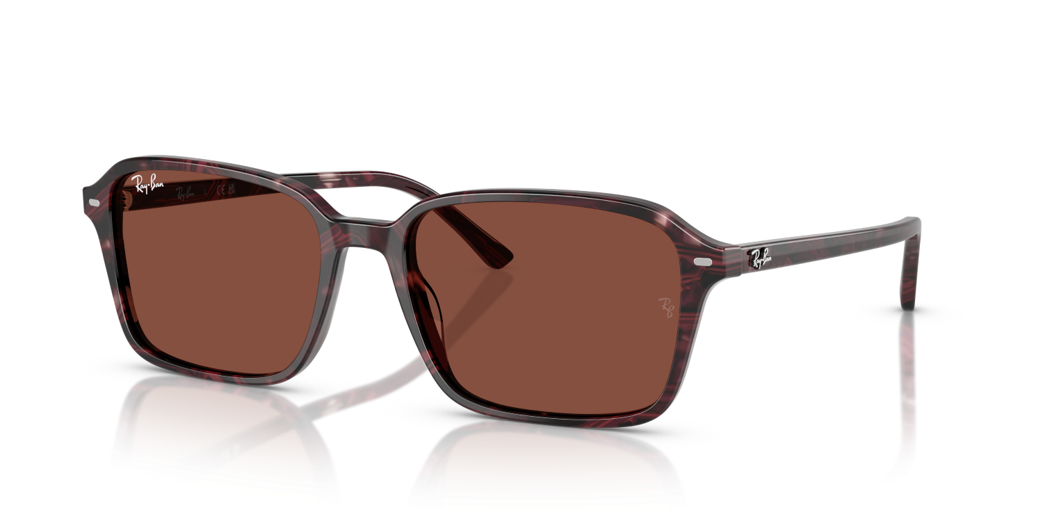 Ray-Ban RAIMOND RB2231 - Transparent Fantasy Violet & Red / Violet