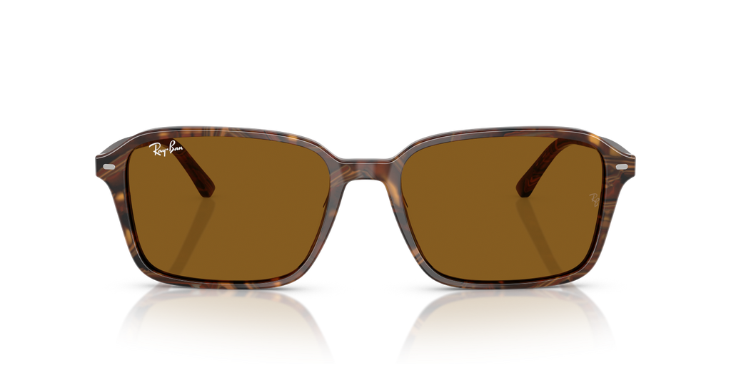 Ray-Ban RAIMOND RB2231 - Transparent Fantasy Brown / Multicolor