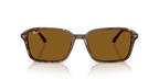 Ray-Ban RAIMOND RB2231 - Transparent Fantasy Brown / Multicolor