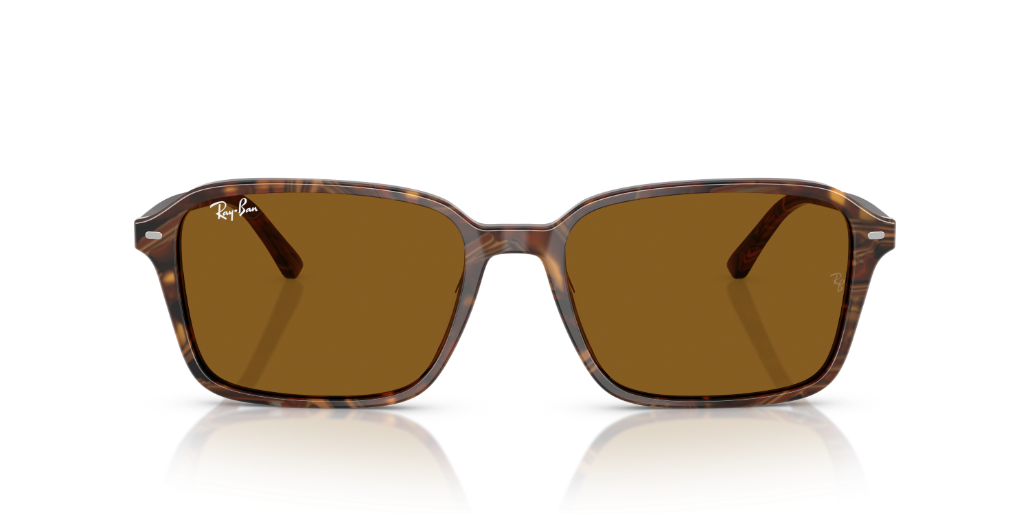 Ray-Ban RAIMOND RB2231 - Transparent Fantasy Brown / Multicolor