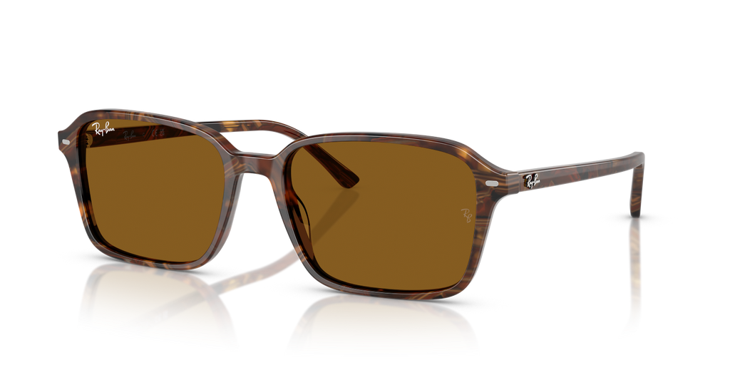 Ray-Ban RAIMOND RB2231 - Transparent Fantasy Brown / Multicolor