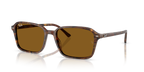 Ray-Ban RAIMOND RB2231 - Transparent Fantasy Brown / Multicolor