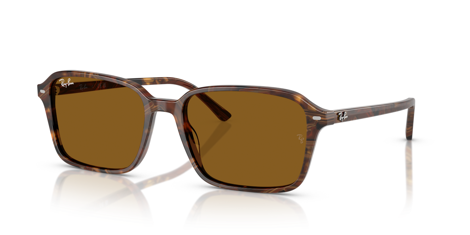 Ray-Ban RAIMOND RB2231 - Transparent Fantasy Brown / Multicolor
