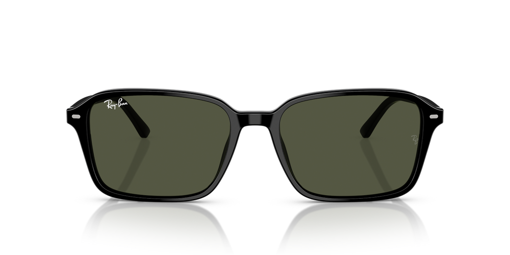 Ray-Ban RAIMOND RB2231 - Black / Black