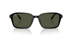 Ray-Ban RAIMOND RB2231 - Black / Black